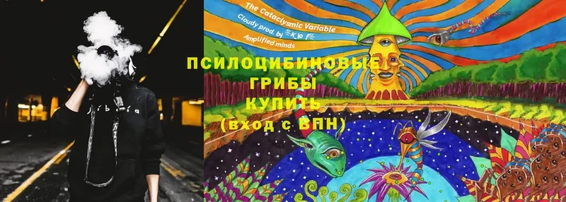 Псилоцибиновые грибы Magic Shrooms  где купить   Алапаевск 